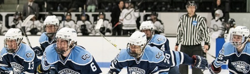 Kristin  Steele's Ice Hockey cover photo